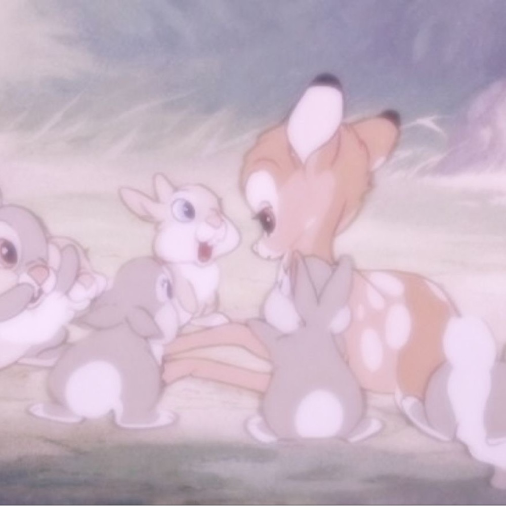 Meet your Posher, Hollie